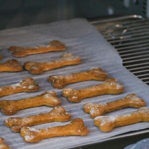 Ossicini al forno con zucca e avena 300 g — edizione speciale