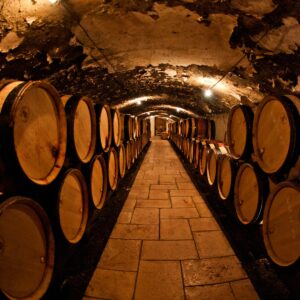 Degustazione in cantina sul Vesuvio