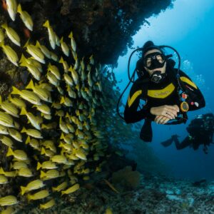 Corso sub Open Water (4 giorni)